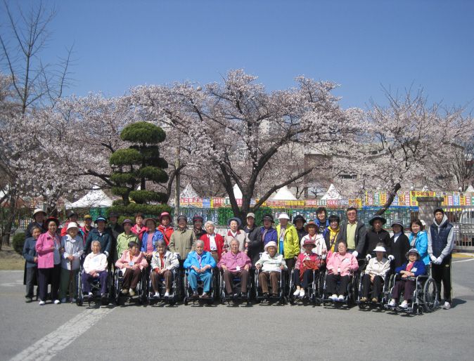 2011 벚꽃나들이