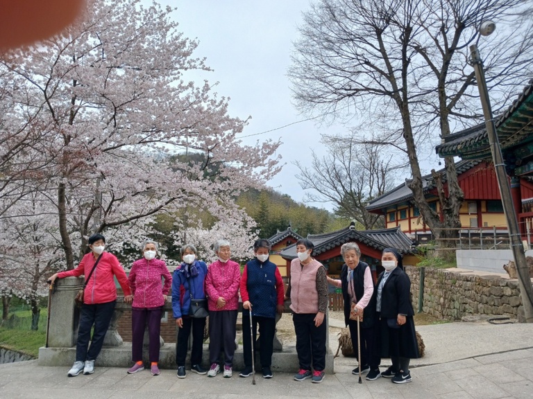 소그룹나들이(벚꽃구경)