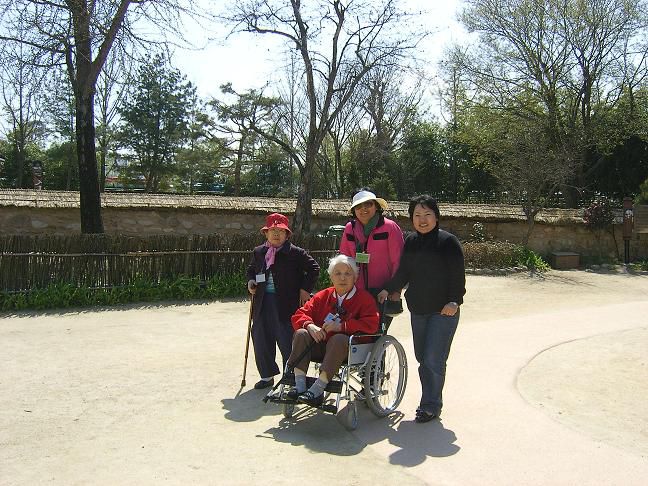 2010년 벚꽃 나들이