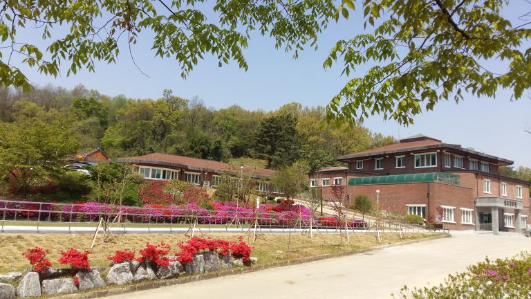 성모양로원의 봄